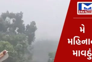 Beginners guide to 33 2 ગુજરાત પાસે વરસાદની 4 સિસ્ટમ સક્રિય થઈ