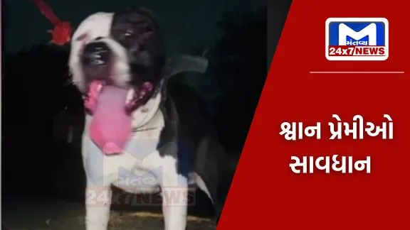 નોઈડામાં પીટબુલ કૂતરાના માલિકની ધરપકડ, હવે કાયદાકીય કાર્યવાહી પણ કરવામાં આવશે