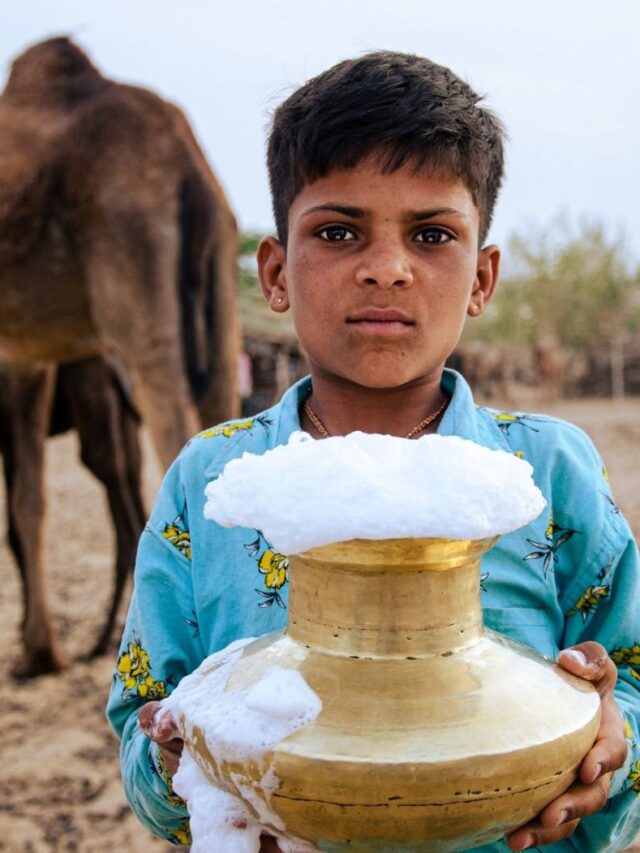 Camel+milk+3
