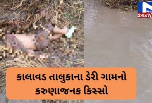 A one-and-a-half-year-old child and two bullocks drowned in the water after a bullock cart got stuck in the dairy village of Kalavad in Jamnagar.