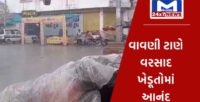 ગુજરાતના વિવિધ જિલ્લાઓમાં ધોધમાર વરસાદથી ખેડૂતોમાં આનંદ