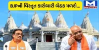 ગુજરાતમાં ‘ક્લીન સ્વીપ’ ચૂકી ગયું ભાજપ, બોટાદમાં સ્વામિનારાયણ મંદિર પર કરશે વિચાર મંથન