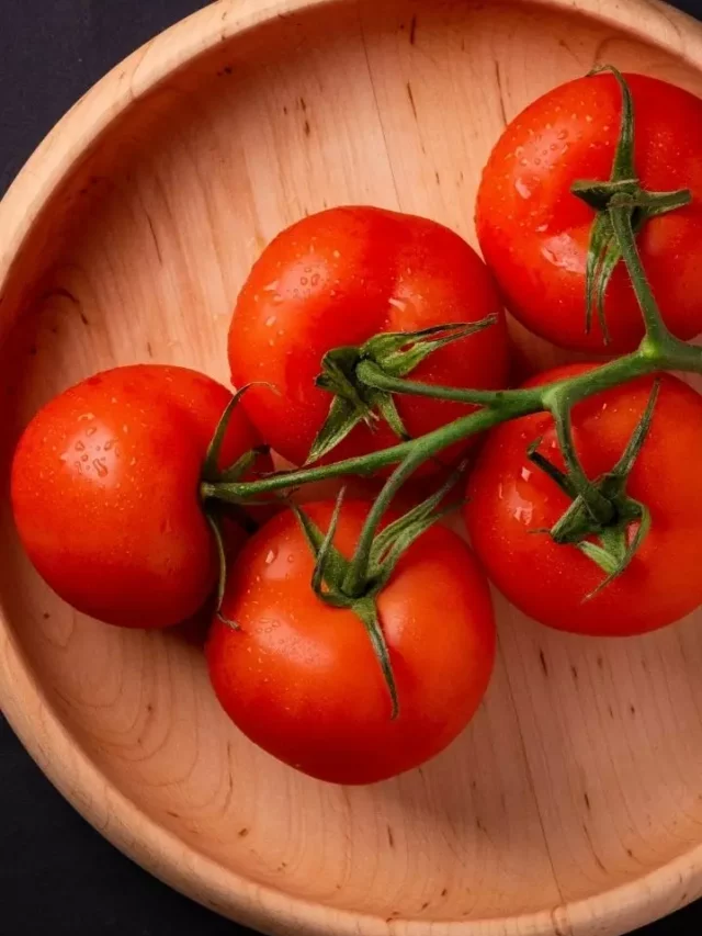 00_COVER_tomato_5fcce598ebc80