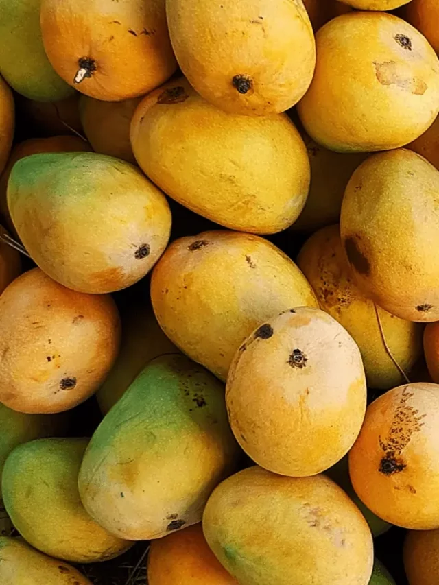 Mangoes