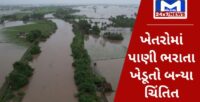 ગુજરાત વરસાદ Live 3 july : ઘેડ પંથક જળબંબાકાર, ખેતરોમાં પાણી ભરાયા