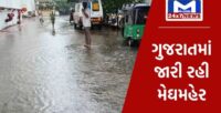 ગુજરાતના છેલ્લા 24 કલાકમાં 141 તાલુકામાં હળવાથી ભારે વરસાદ