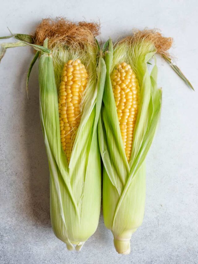 How-to-Pick-Corn-FF2