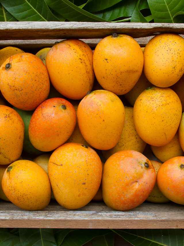 mangoes-hero