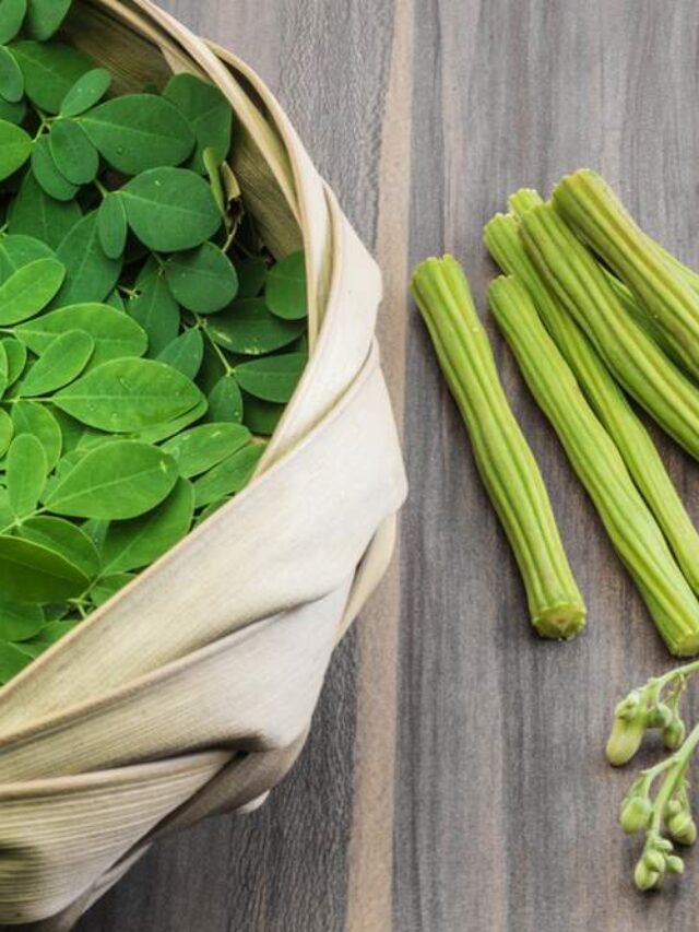 Moringa-