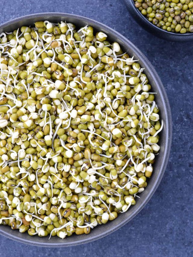 fresh-mung-bean-sprouts