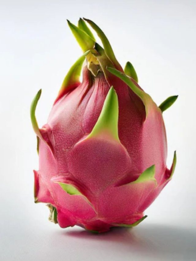 Images - 2024-10-20T125459.054