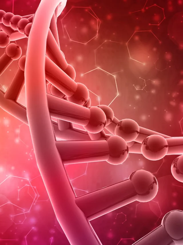 hormones_and_endocrine_function_1796x943