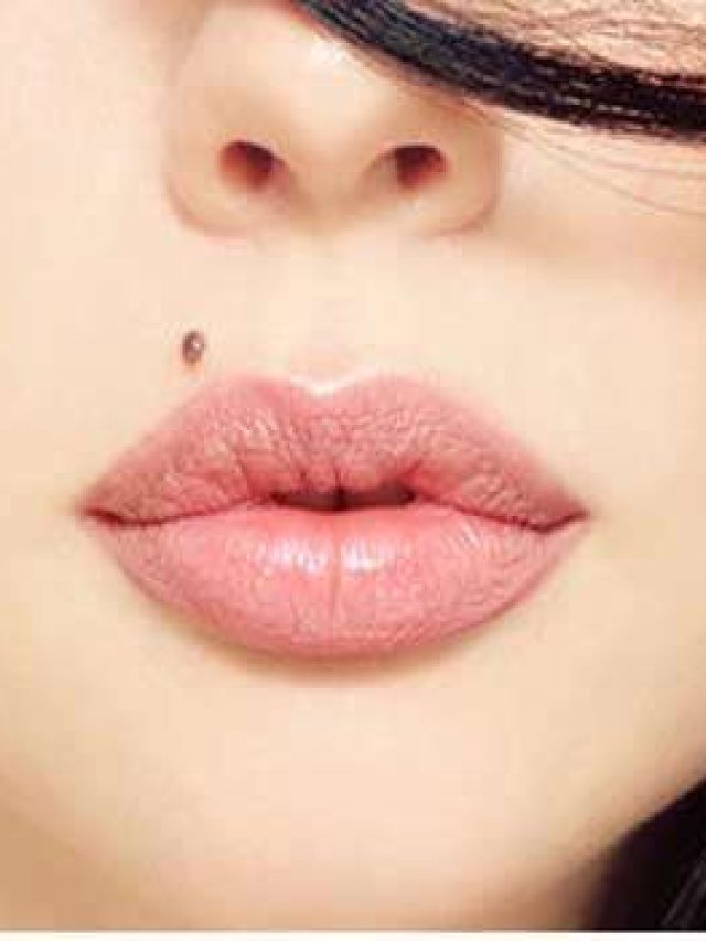 mole-5440e86a36cec_exlst_4278686-m