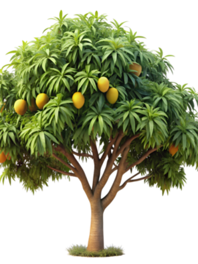 pngtree-fruit-tree-with-yellow-clipart-illustration-png-image_13715141