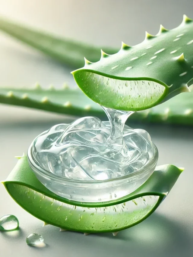 proceso-gel-aloe-vera