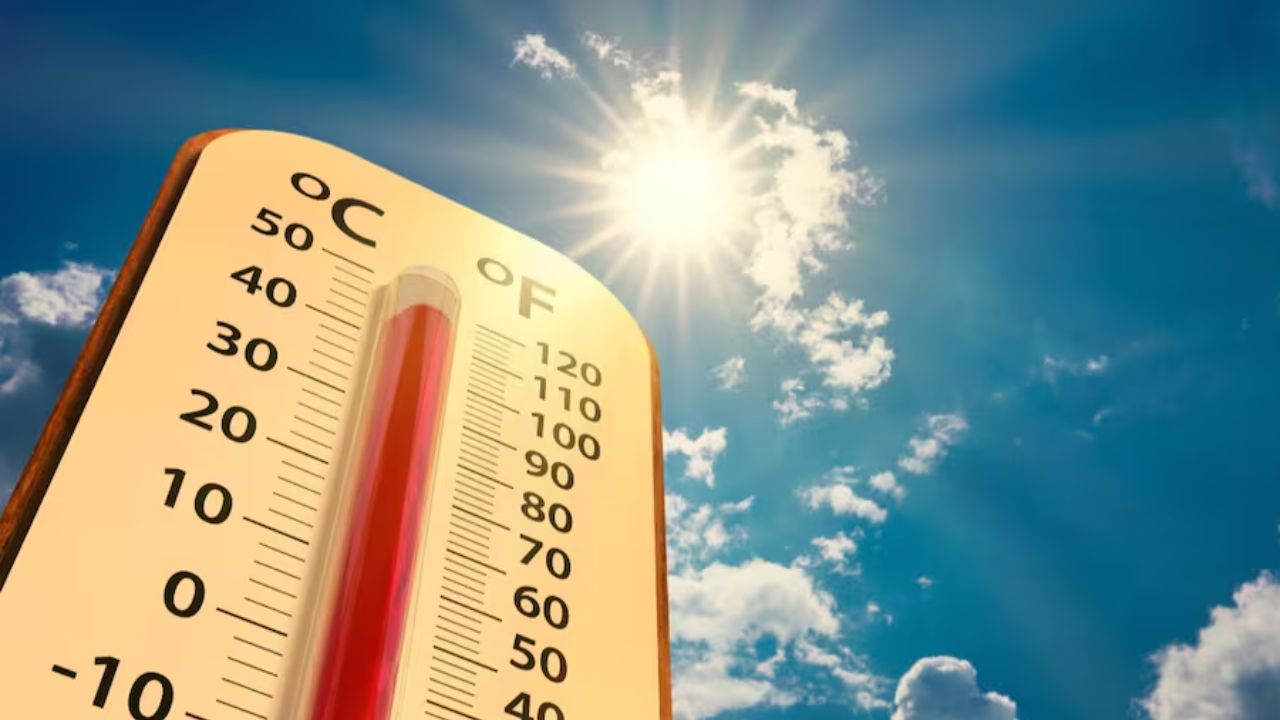 શાહરૂખ ખાને PM મોદીને અભિનંદન આપ્યા 2025 04 15T085725.263 દિલ્હીના તાપમાનમા વધારો, આગામી ત્રણ દિવસ માટે 'ગરમી અને લૂ' ની ચેતવણી