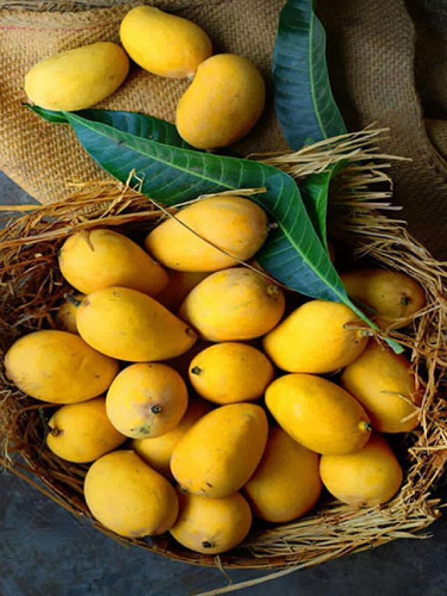 Fresh-Mango