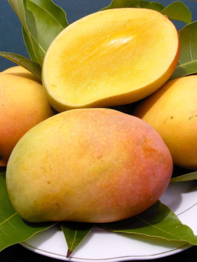 mango