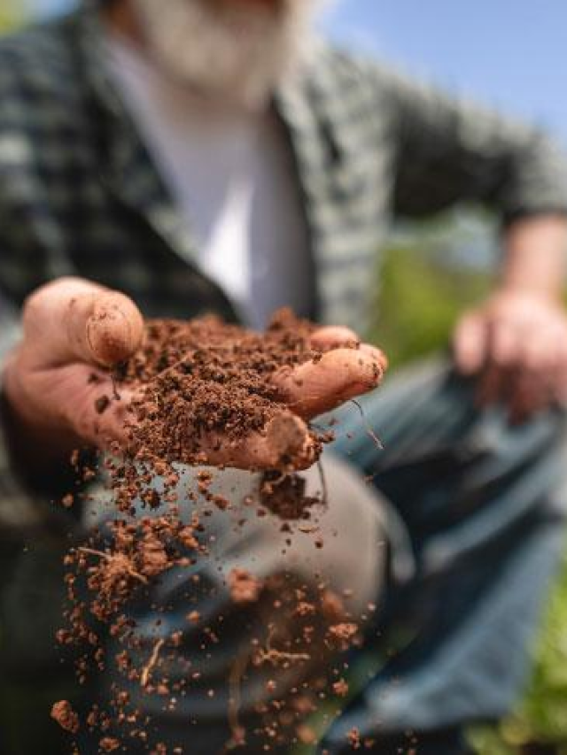 organic-farming-manure-2