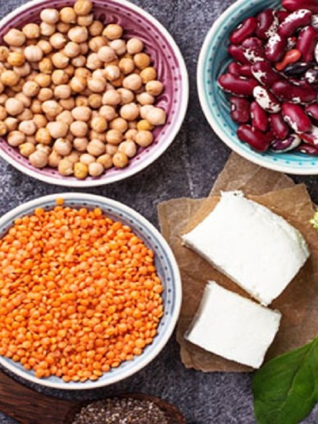 protin-food-a