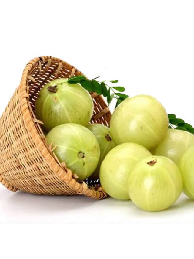 Amla-Fruit1