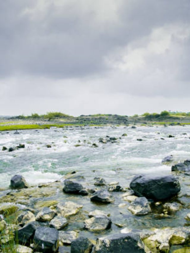 istockphoto-1130904714-612x612