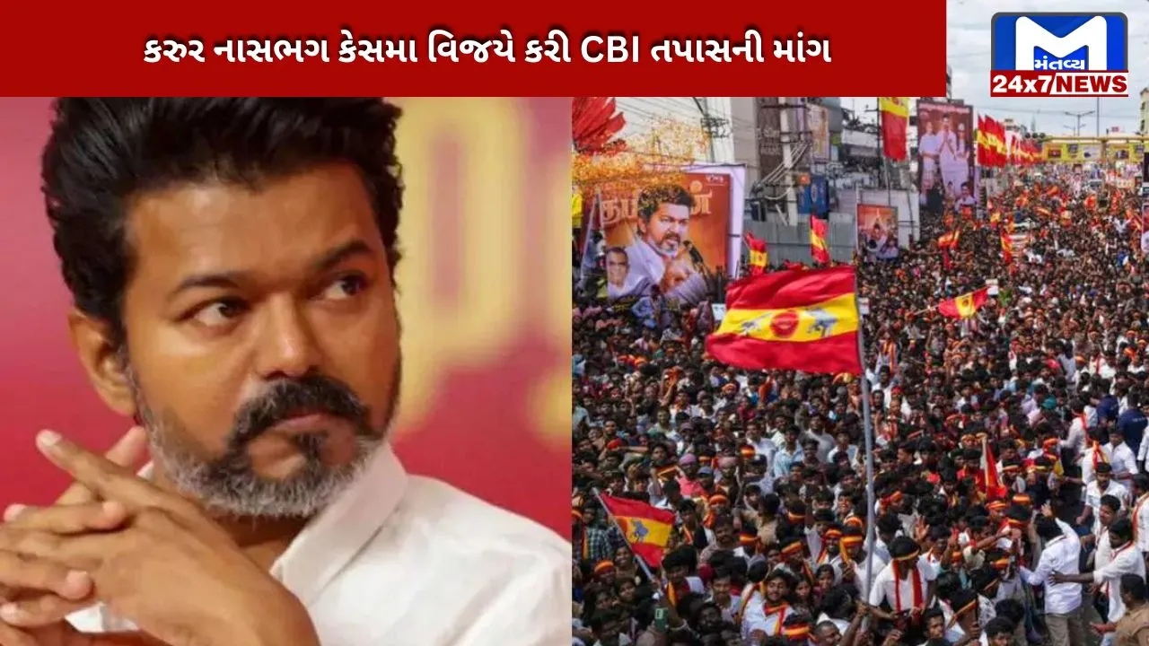 Karur stampede case in Madras High Court