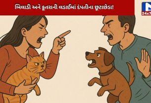 couple's relationship due to dog and cat