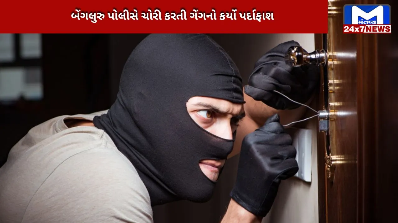 Bengaluru Police gym trainer theft gang