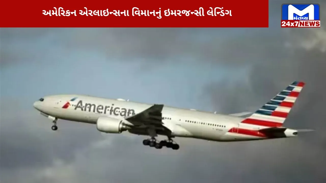 Emergency landing made due to hygiene