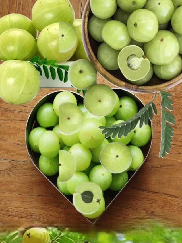 amla-benefits-1737893081