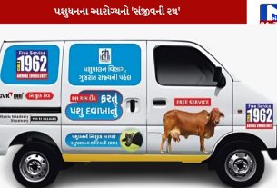 85-lakh-animals-treated-under-animal-scheme
