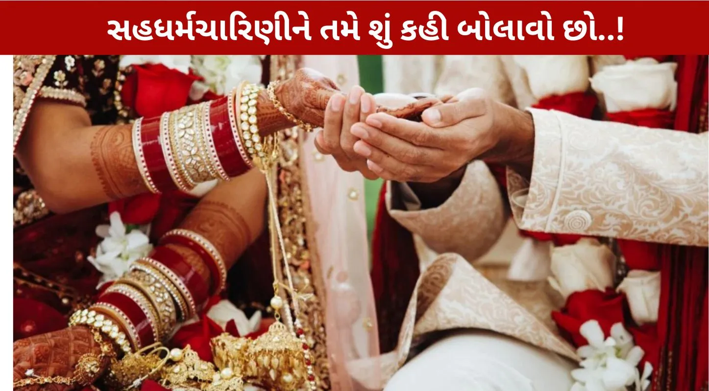 ભારતીય વિવાહ