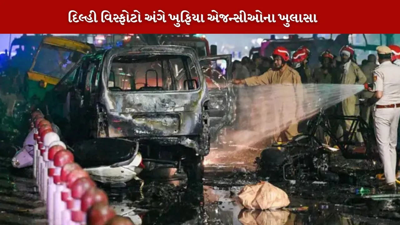 Multi handler networks of terrorists exposed