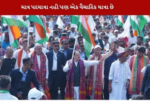 PM Modi is fulfilling Sardar Patel's dream સરદાર પટેલ