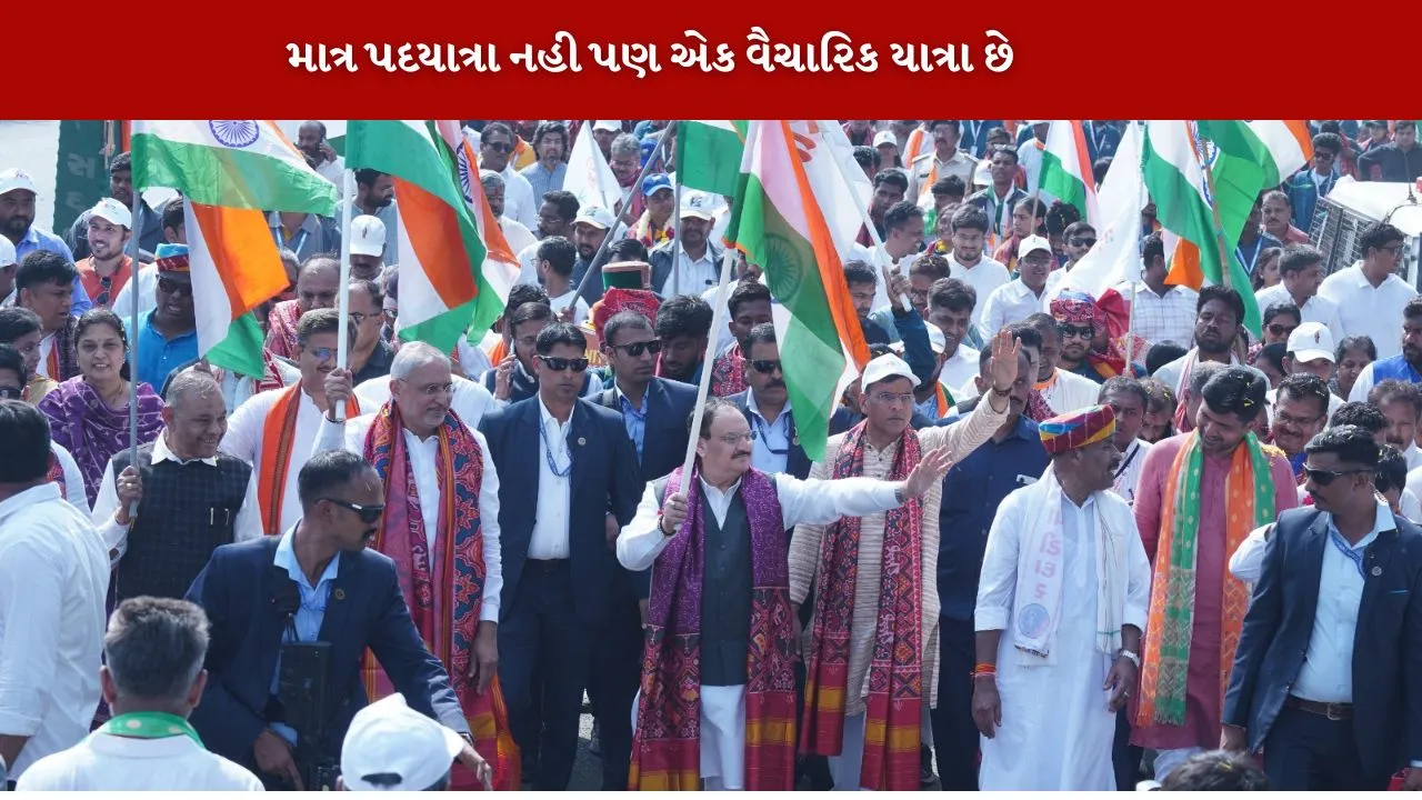 PM Modi is fulfilling Sardar Patel's dream સરદાર પટેલ