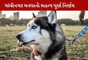 પાલતુ શ્વાન