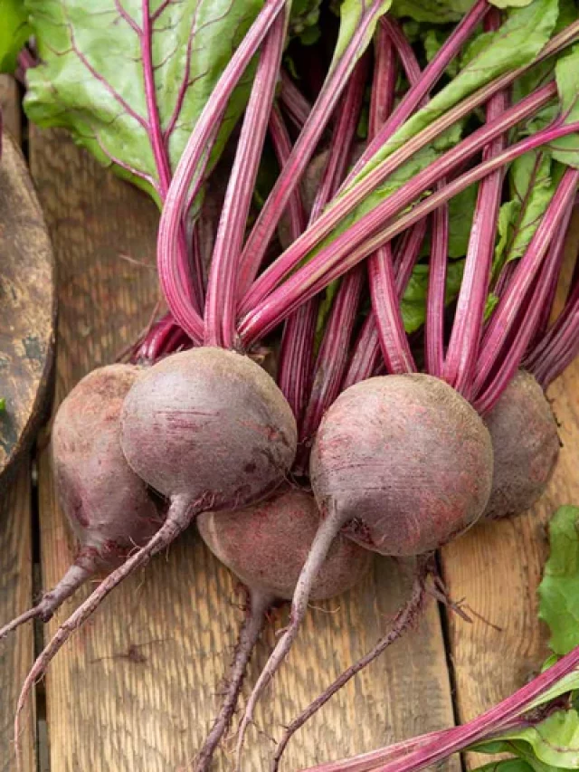 beet-organic-detroit-dark-red-flo-1_533x