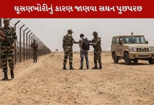 કચ્છ સરહદે ઘૂસણખોરી