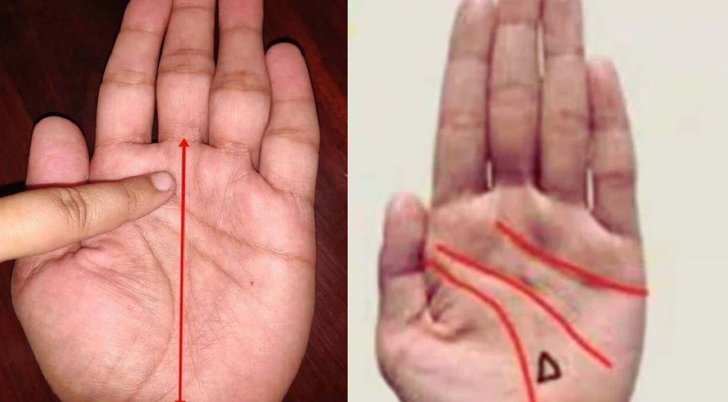 હથેળીમાં રેખાઓ અને નિશાન