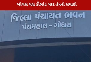 એકસાથે 29 તલાટીઓની બદલી થતાં રાજ્યના વહીવટીતંત્રમાં ભારે ચર્ચા