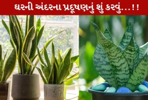 વાયુ પ્રદૂષણ, છોડ, ટ્રિક