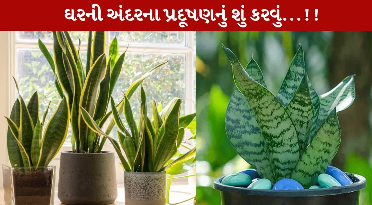 વાયુ પ્રદૂષણ, છોડ, ટ્રિક