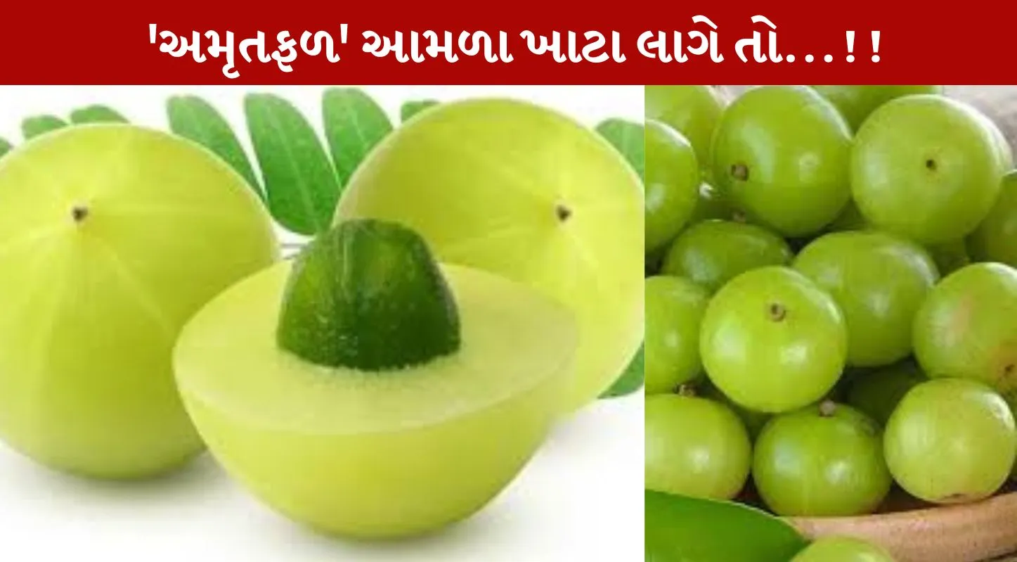 શિયાળા, આમળા, ટિપ્સ