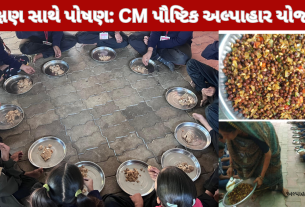 શિક્ષણ સાથે પોષણ: CM પૌષ્ટિક અલ્પાહાર યોજના