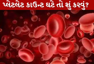 લો પ્લેટલેટ્સ (Platelets)એટલે શું??