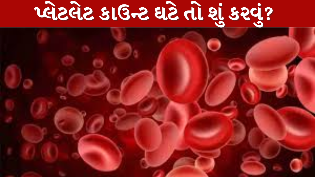 લો પ્લેટલેટ્સ (Platelets)એટલે શું??