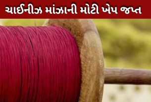 ચાઈનીઝ દોરી