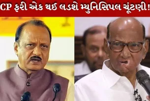 Ajit Pawar કહ્યું, "પરંતુ કૃપા કરીને ખોટા વચનોમાં ફસાશો નહીં
