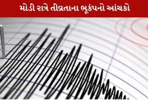 ભૂકંપનો આંચકો ફરી આવતા લોકોમાં ફફડાટ ફેલાયો